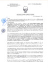Vista preliminar de documento RD-0074-2025-DSAIA-DIRIS-LE-MINSA
