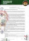 Vista preliminar de documento RESOLUCION GERENCIAL N° 01117-2024-GM-MPS