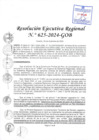 Vista preliminar de documento RER 625-2024-GOB