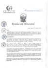 Vista preliminar de documento RD N°04-01-2025-DE-HCLLH-MINSA