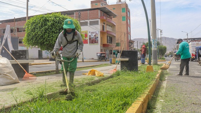 Poda del grass en la alameda Progreso del centro poblado San Jacinto 