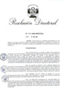 Vista preliminar de documento RD 001-2025-INPE-OGA