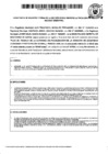 Vista preliminar de documento COMISION SEGURIDAD CIUDADANA