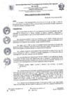 Vista preliminar de documento RESOLUCIÓN N°035-2024-CO
