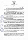 Vista preliminar de documento Resolucion 382