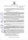 Vista preliminar de documento Resolucion 383
