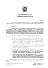 Vista preliminar de documento RD 006 2025 PRODUCE DGPCHDI
