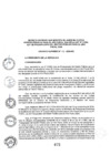 Vista preliminar de documento Decreto Supremo N° 072-2024-RE