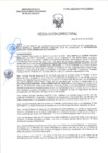 Vista preliminar de documento RD-0085-2025-DSAIA-DIRIS-LE-MINSA