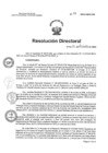 Vista preliminar de documento RD N°411-2024-HNCH-DG