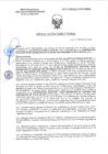 Vista preliminar de documento RD-0101-2025-DSAIA-DIRIS-LE-MINSA