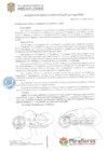 Vista preliminar de documento Acuerdo de Concejo Municipal