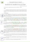 Vista preliminar de documento RA_005_2025_MDI