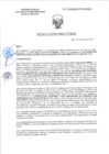 Vista preliminar de documento RD-0113-2025-DSAIA-DIRIS-LE-MINSA