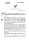 Vista preliminar de documento RD-0114-2025-DSAIA-DIRIS-LE-MINSA