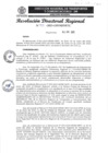 Vista preliminar de documento RDR N° 002