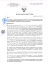 Vista preliminar de documento RD-0119-2025-DSAIA-DIRIS-LE-MINSA