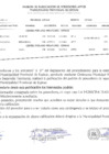 Vista preliminar de documento 7