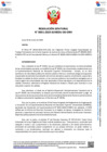 Vista preliminar de documento Resolución