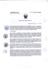 Vista preliminar de documento R.A 181-2024-OEA-