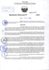 Vista preliminar de documento R.D 2224-2024