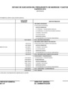 Vista preliminar de documento Saldo Balance 2018