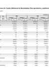 Vista preliminar de documento Anexo 04 - Cuadro Multianual de Necesidades Para aprobación y publicación