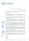 Vista preliminar de documento RD_2024_115