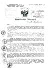 Vista preliminar de documento R. D. N° 529-2024