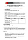 Vista preliminar de documento BASES PROCESO PRE 001-2025-APCI-DPP