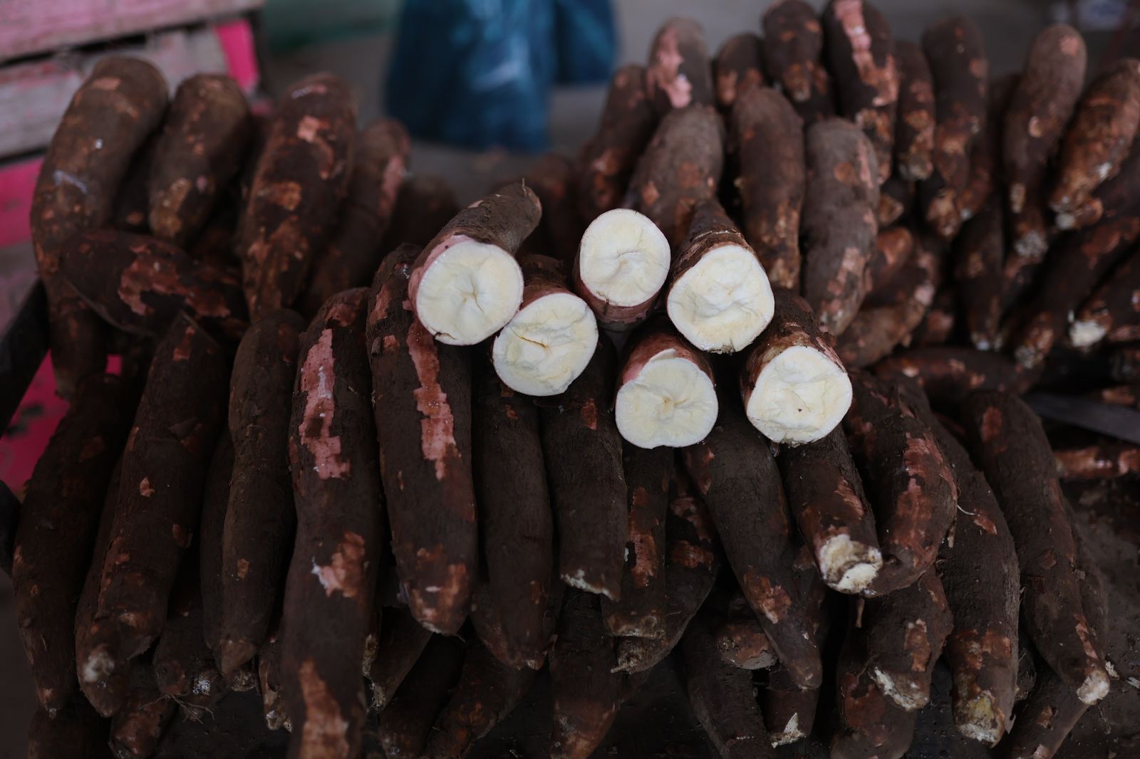 Hoy en los mercados mayoristas hay ofertas en yuca, zanahoria, frijol, mango, melón, piña y otros