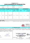Vista preliminar de documento 00089.1. ANEXO 1 - RD N° D000089-2024-PNVR Informe de liquidación final