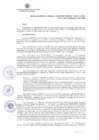 Vista preliminar de documento 796-CU-2024_23122024110322