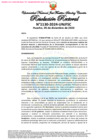 Vista preliminar de documento Resolución Rectoral