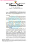 Vista preliminar de documento Resolución Rectoral