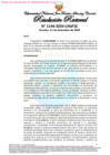 Vista preliminar de documento Resolución Rectoral