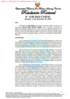 Vista preliminar de documento Resolución Rectoral