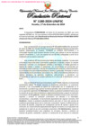 Vista preliminar de documento Resolución Rectoral