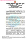 Vista preliminar de documento Resolución Rectoral