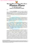 Vista preliminar de documento Resolución Rectoral