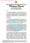 Vista preliminar de documento Resolución Rectoral