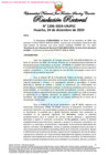 Vista preliminar de documento Resolución Rectoral