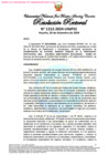 Vista preliminar de documento Resolución Rectoral