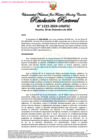 Vista preliminar de documento Resolución Rectoral