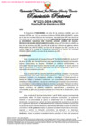Vista preliminar de documento Resolución Rectoral