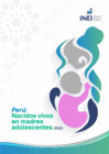 Vista preliminar de documento Perú: Nacidos vivos en madres adolescentes, 2023: Capítulo 1.