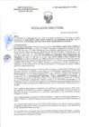 Vista preliminar de documento RD-0123-2025-DSAIA-DIRIS-LE-MINSA