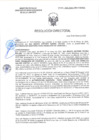 Vista preliminar de documento RD-0124-2025-DSAIA-DIRIS-LE-MINSA