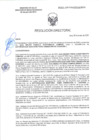 Vista preliminar de documento RD-0133-2025-DSAIA-DIRIS-LE-MINSA