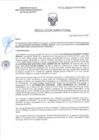 Vista preliminar de documento RD-0135-2025-DSAIA-DIRIS-LE-MINSA